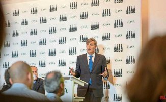 Javier Pagés will continue to lead the Consell del Cava after obtaining the endorsement of the employer
