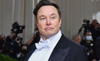 Report: Elon Musk and a top executive had twins last year.