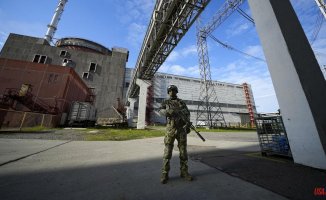 Russia plans to connect Zaporizhia NPP to Crimea's power grid