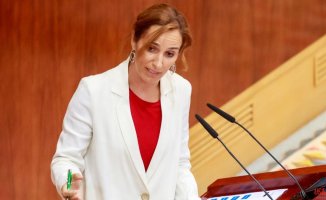 Mónica García labels the Gobierno de Ayuso negationist, outdated and outdated