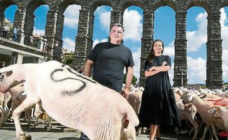 A Nobel invades Segovia with hundreds of sheep