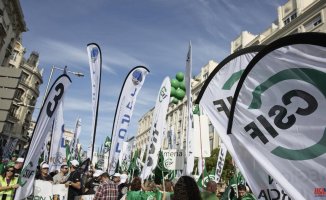 Some 17,000 officials take to the streets in Madrid demanding a salary increase