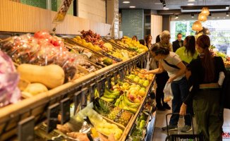 Plusfresc supermarkets invest 15 million and prepare their expansion in Barcelona