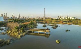 Cepsa begins producing advanced biofuels at its Huelva Energy Park