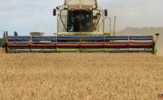 Cereals soar on uncertainty in Ukrainian grain deal