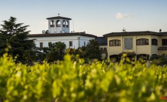The owner of Vallformosa enters the online wine business with Vinissimus