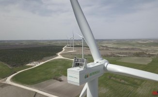 Iberdrola earns 3,104 million, 29% more, despite reducing profit by 14% in Spain