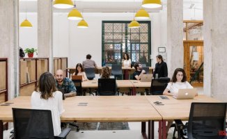 Remotely and from Valencia: international companies that settle in 'coworkings' are growing