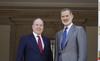 The King receives Prince Albert of Monaco, who will travel to Cantabria tomorrow