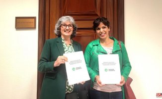 Andalusia will present itself to the general elections but Teresa Rodríguez will not be a candidate