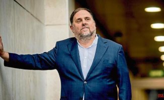 Oriol Junqueras: "International aid is not a coincidence, we have gone looking for it"