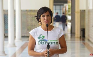 Teresa Rodríguez, leader of Adelante Andalucía, seeks "relief" to leave politics "soon"