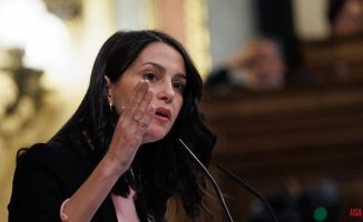 The Ciudadanos executive disrupts Arrimadas' plan to continue without going through primaries