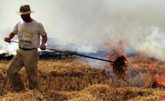 Agreement in Les Corts to allow agricultural burning in the new circular economy law