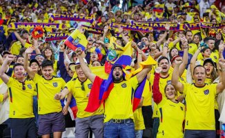 "We want beer": the chant of the Ecuadorian fans in the opening match of the World Cup