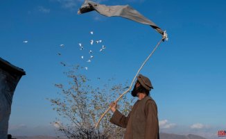 Taliban supreme guide demands judges to apply sharia rigorously throughout the country
