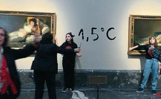 Art insurers tremble with the wave of 'eco-vandalism'