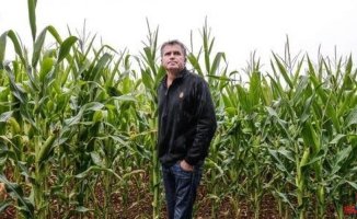 "11,000 euros for so much sacrifice": end to the long legal battle of a farmer against Bayer for poisoning