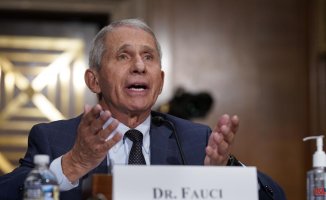 Musk attacks Dr. Fauci, the US leader in the fight against covid, and wants him to be prosecuted