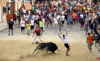 Compromís carga de nuevo against the PSPV and raises the cost of covering the 'bulls on the street' to one million