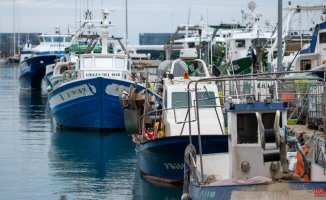 The EU approves a distribution of fishing for 2023 "positive for Spain", according to Planas
