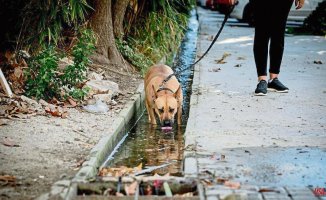 Badalona demands the ACA to repair the water loss in the Canyet neighborhood