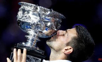 Novak Djokovic's 22 great titles