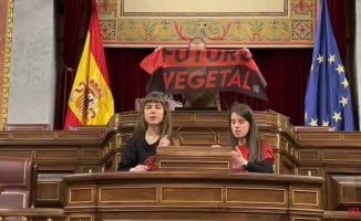 Futuro Vegetal activists try to stick to the lectern of the Congress of Deputies