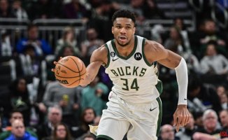 Antetokounmpo remains unstoppable and gives victory to the Bucks again