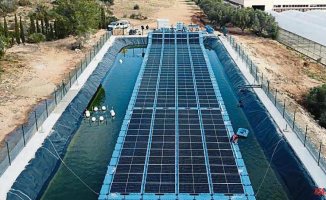 Irrigation bets on floating panels