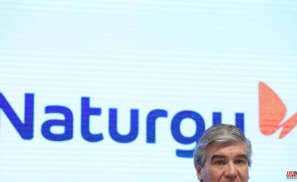Naturgy's profits grew by 36%, to 1,649 million, in 2022