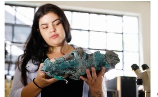 Blue-green 'plastipiedras' discovered on remote, uninhabited volcanic island in Brazil