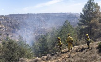 The firefighting services stop the progress of the Castellón fire