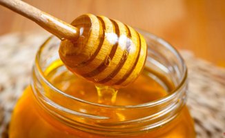The honey fraud: almost half of the honey imported into Europe is adulterated
