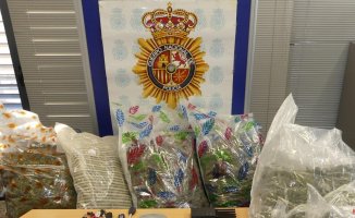 Dismantled a criminal gang that trafficked arms and drugs between Spain and Poland