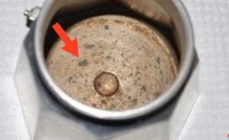 What are the black spots of the mocha deposit?