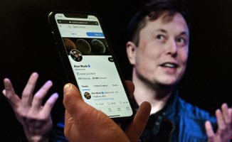 Elon Musk announces more changes on Twitter: he will only recommend paid users in his 'For You' feed