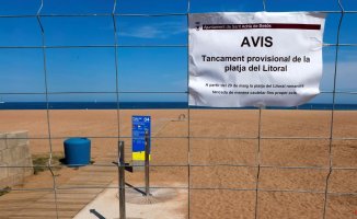 Transición Ecológica begins to decontaminate the beach of the Litoral de Sant Adrià de Besòs
