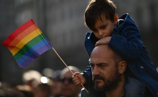 Italian government limits parental rights of gay couples