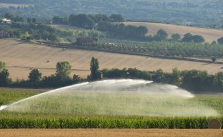 The increase in irrigation is the greatest threat to water in Spain, says Ecologistas en Acción