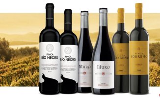 Castilla, Toro and Rioja, cradle of red wines from the heart of the peninsula