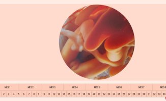Week 36 of pregnancy: the baby descends and the pressure in the mother's pelvis increases