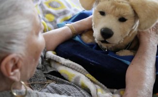 Robot dogs settle into the homes of the elderly