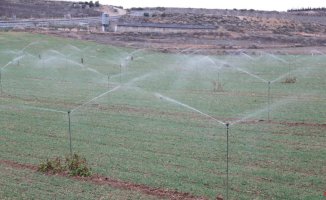 The Segarra-Garrigues canal begins a "difficult" irrigation campaign due to the low water level in Rialb