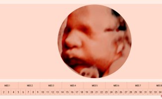 Week 38 of pregnancy: your baby can be born at any time