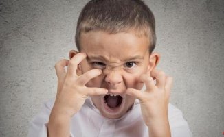 Defiant children: why they behave like this and how to reverse the situation