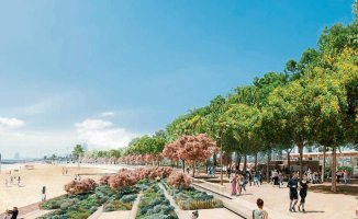 Barcelona will culminate the recovery of the waterfront with a new promenade