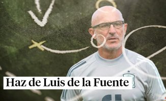 Make Luis de la Fuente and choose the eleven of Spain