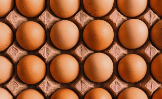 The increase in costs and exports shoot up the price of eggs by 30%