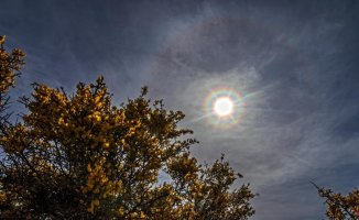 Crown with solar halo in Calldetenes